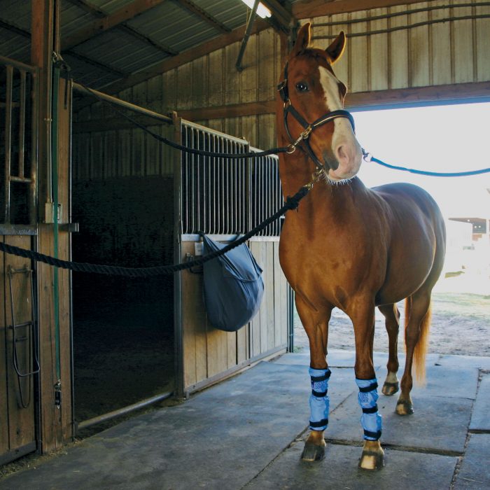 Equine Leg Wraps (2 Per Package) Equi Cool Down