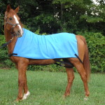 cooling products for horses