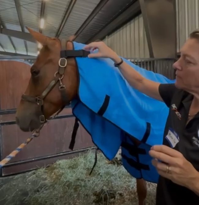 Equine Neck Wrap