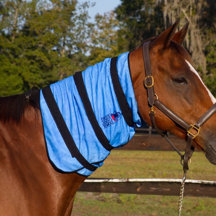 Equine Deluxe Body Wrap Equi Cool Down