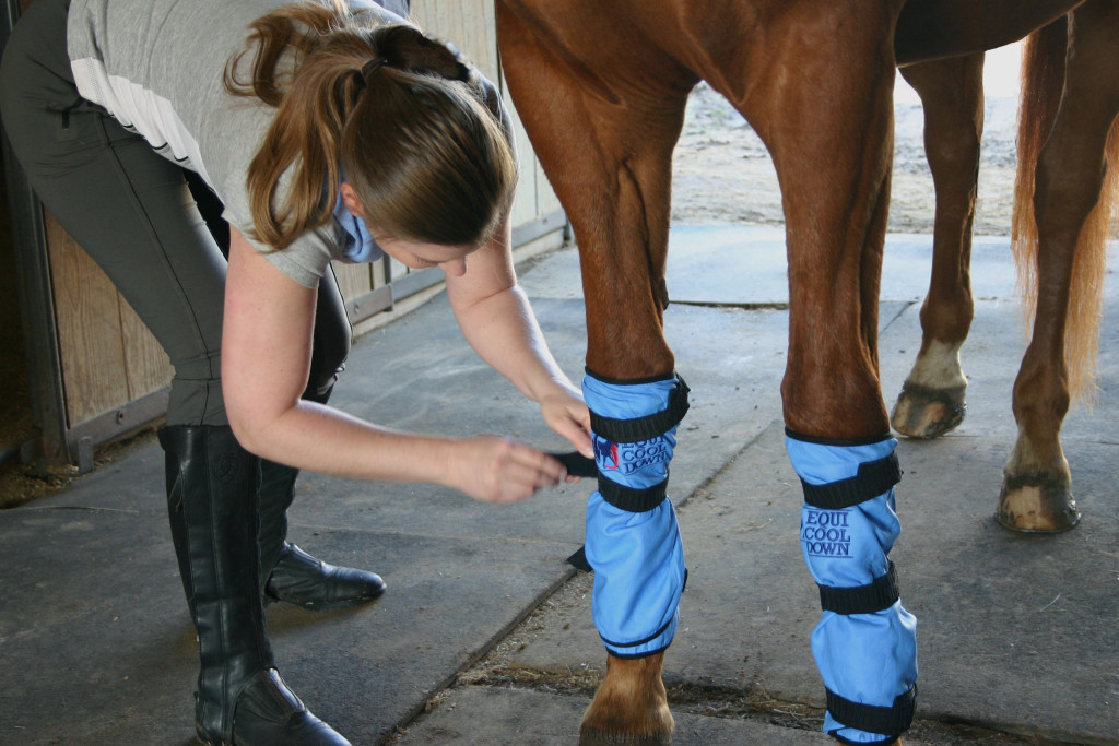 Equine Leg Wraps (2 Per Package) Equi Cool Down