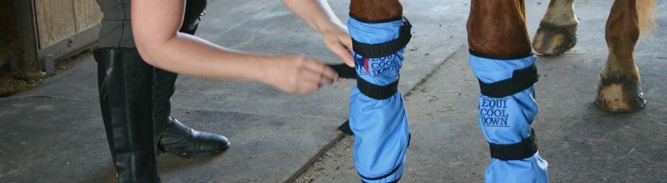 cooling products for equines cooling leg wraps